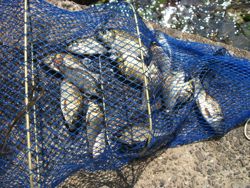 ファイル 1088-5.jpg