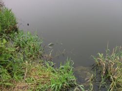 ファイル 1099-1.jpg