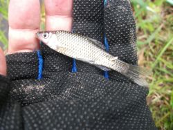 ファイル 1099-2.jpg