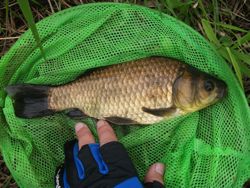 ファイル 1099-3.jpg