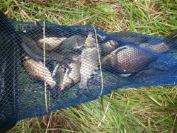 ファイル 1099-5.jpg