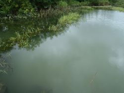 ファイル 1106-1.jpg