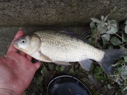 ファイル 1106-4.jpg