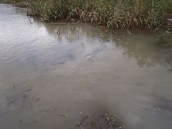 ファイル 1107-1.jpg