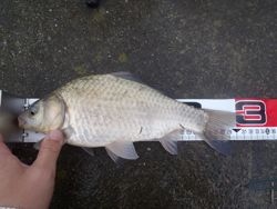 ファイル 1107-2.jpg