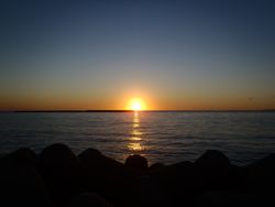 ファイル 1108-1.jpg