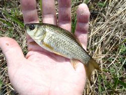 ファイル 1110-2.jpg