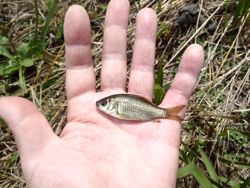 ファイル 1110-3.jpg