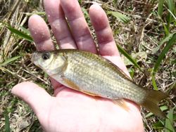 ファイル 1110-4.jpg