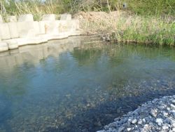 ファイル 1117-1.jpg