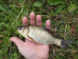 ファイル 1117-4.jpg