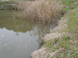 ファイル 1119-1.jpg