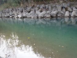 ファイル 1120-1.jpg