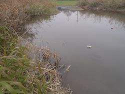 ファイル 1123-1.jpg