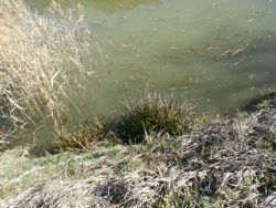 ファイル 1125-1.jpg