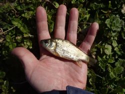 ファイル 1125-2.jpg