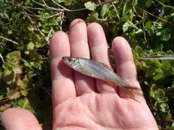 ファイル 1125-3.jpg