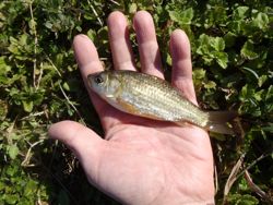 ファイル 1125-4.jpg