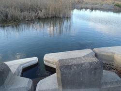 ファイル 1126-1.jpg