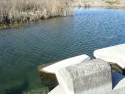 ファイル 1127-1.jpg