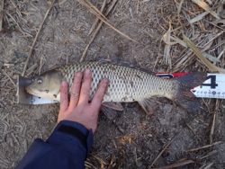 ファイル 1128-3.jpg