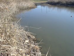 ファイル 1135-1.jpg