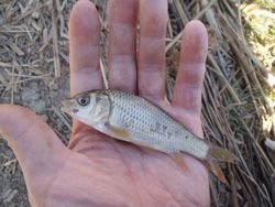 ファイル 1135-4.jpg