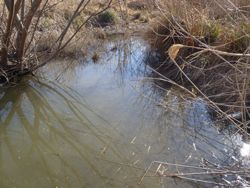 ファイル 1137-1.jpg