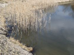 ファイル 1138-1.jpg