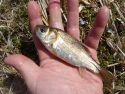 ファイル 1147-2.jpg