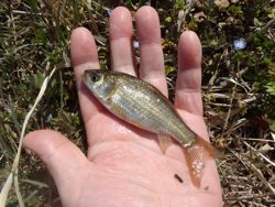 ファイル 1147-3.jpg