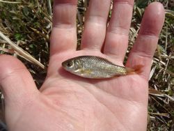 ファイル 1147-4.jpg