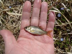 ファイル 1148-2.jpg