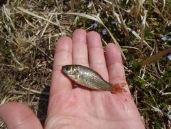 ファイル 1148-4.jpg