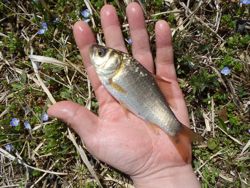 ファイル 1150-2.jpg