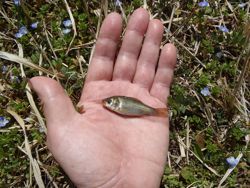 ファイル 1150-3.jpg