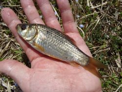 ファイル 1150-4.jpg