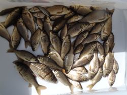 ファイル 1150-5.jpg