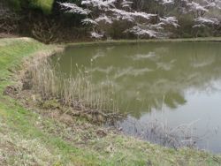 ファイル 1151-1.jpg