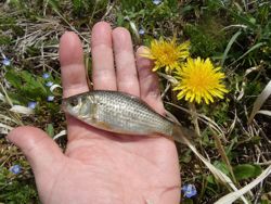 ファイル 1151-2.jpg