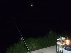 ファイル 1154-1.jpg