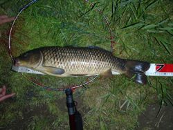 ファイル 1154-2.jpg