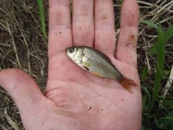 ファイル 1162-2.jpg