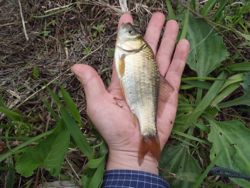 ファイル 1162-3.jpg