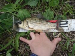 ファイル 1162-4.jpg