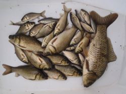 ファイル 1162-5.jpg