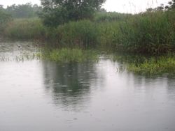 ファイル 1163-1.jpg