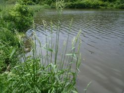 ファイル 1164-1.jpg