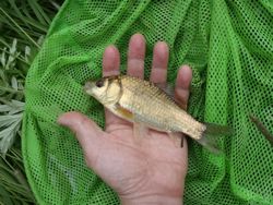 ファイル 1164-2.jpg