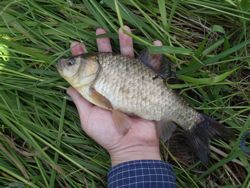 ファイル 1164-3.jpg